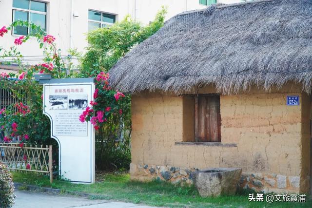 每日一村:三沙东山村——茅草屋焕新颜,畲村烟火撞进高铁风