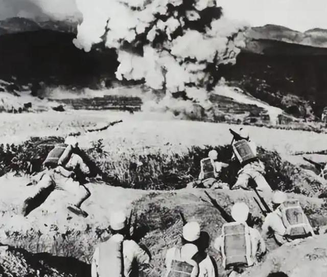 彭总养大的儿子，22岁当上师长	，毛泽东说他必反，彭总不信