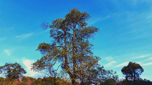 贵州天龙山初冬：斑斓画卷中的时光低语