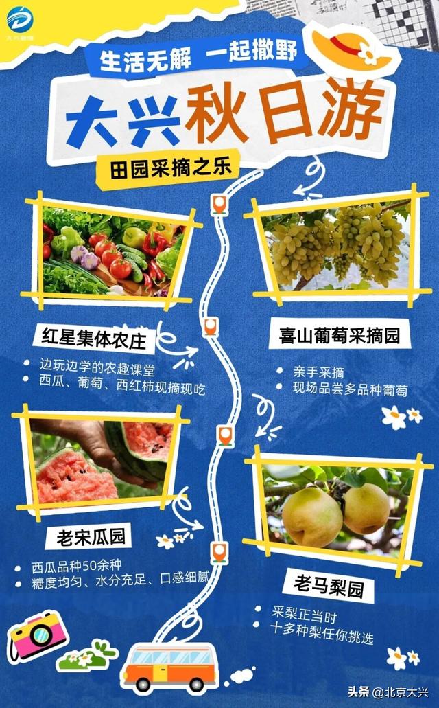 来大兴赴一场“量身定制”的秋日旅行，5条线路任选→