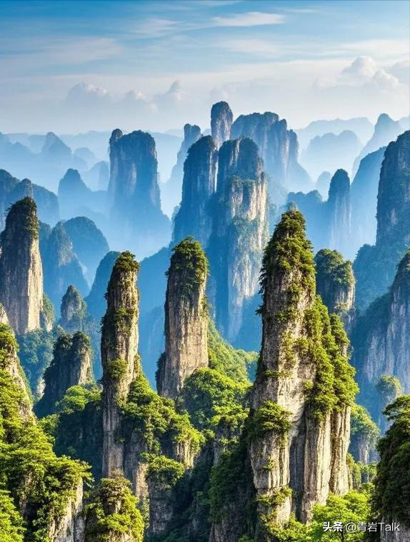 荒野求生残酷的娱乐，张家界要复刻“幸存者”吗？