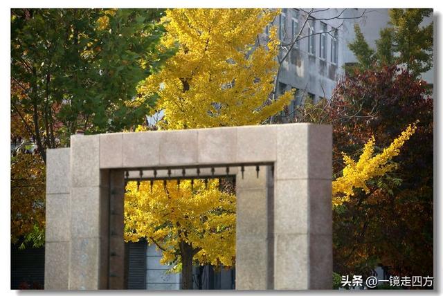 漫步丹东鸭绿江畔，可以隔江望见对岸的朝鲜