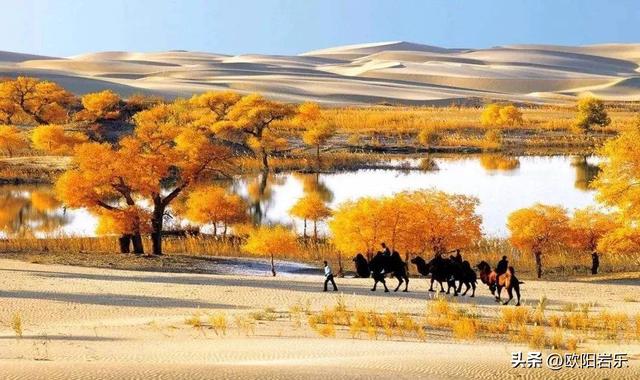 秋季的新疆，一草一木皆风景！