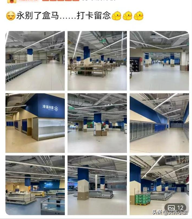盒马会员店或全面停业引关注