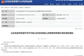 重磅！2月10日起，临沂执行补偿新标准！图片