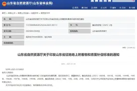 重磅！2月10日起，临沂执行补偿新标准！图片