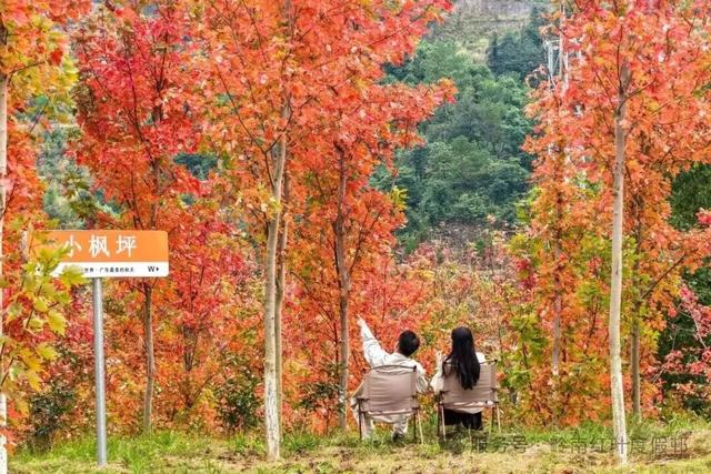 年假清零倒计时，该出发了！把最后几天留给韶关的彩林山水