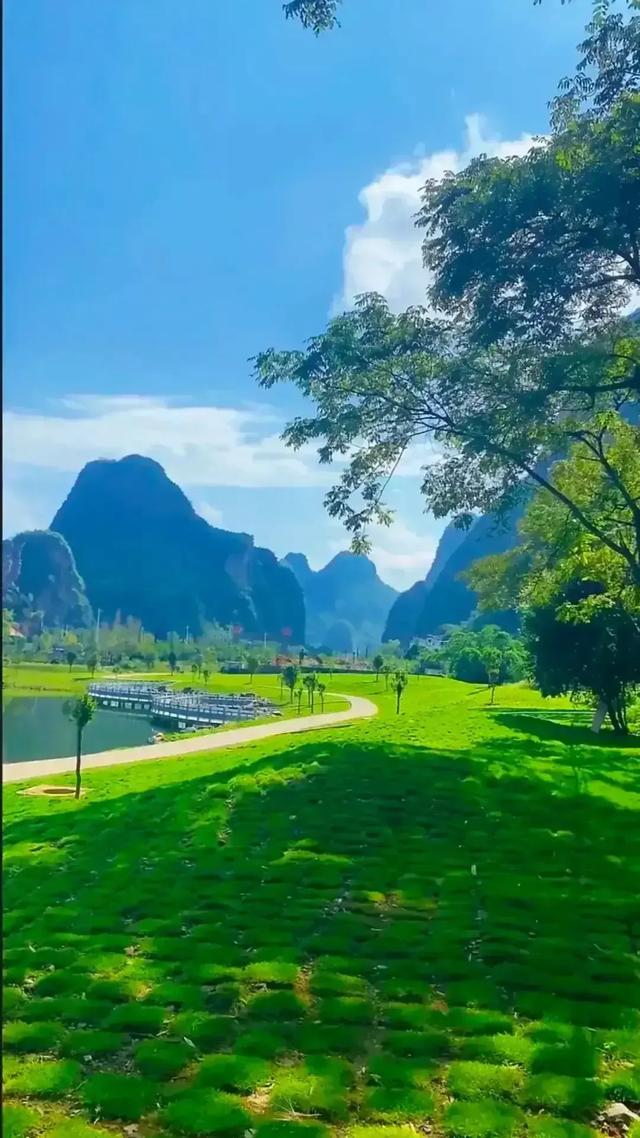 手机壁纸精美图片（31）