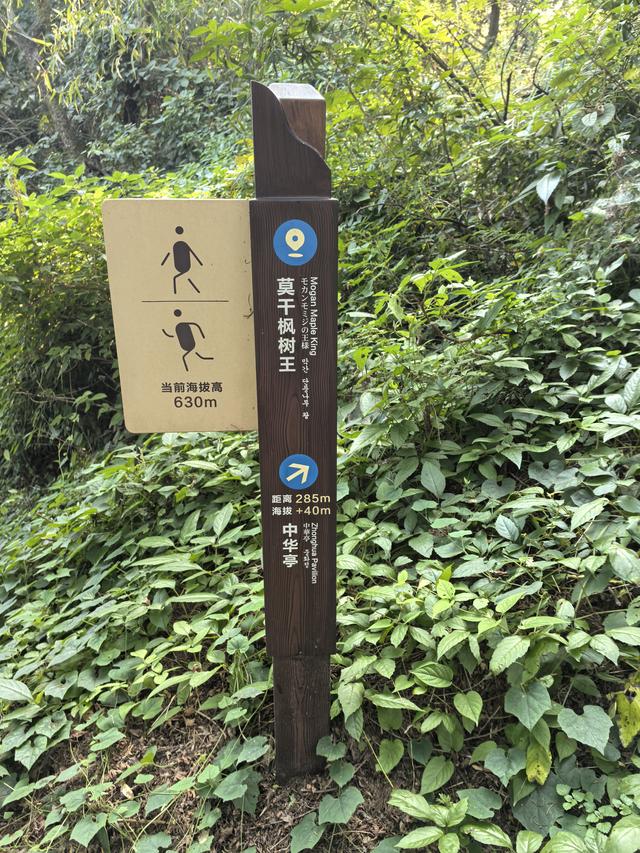 浙江湖州市德清县莫干山国家风景名胜区游记（下）