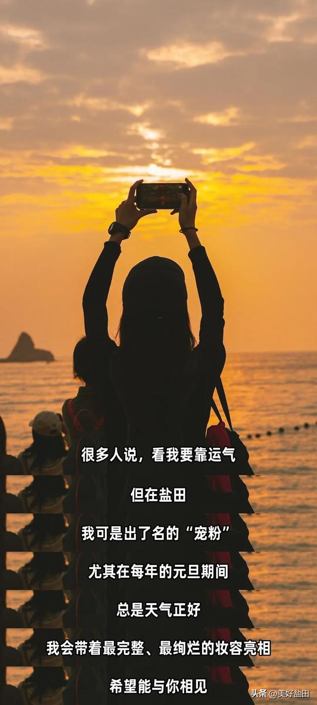 阿霞，2026年的第一天，我要对你表白！