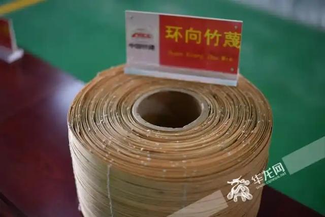 竹子能救地球？中国这招太狠了！专家解谜竹子代替塑料的战略意义