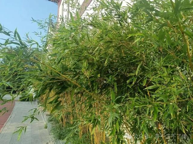 光山文殊寺,秋日的宁静与闲适