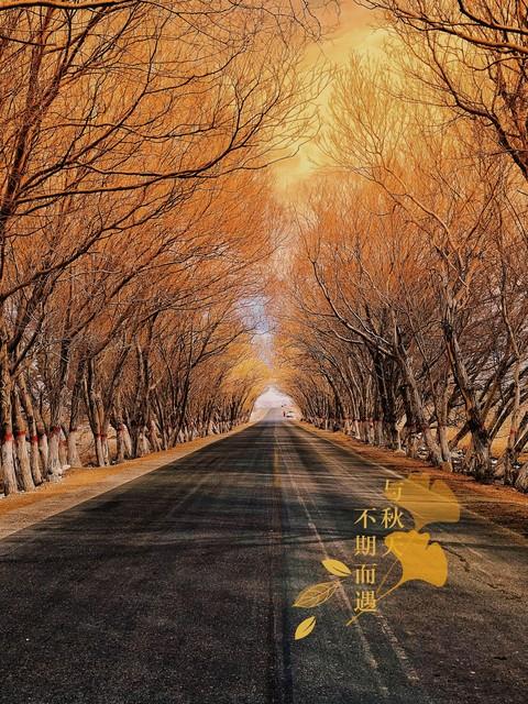 薛导游记（157）“双节” 至，机票预订高峰，赣州赏秋 + 文化游攻略