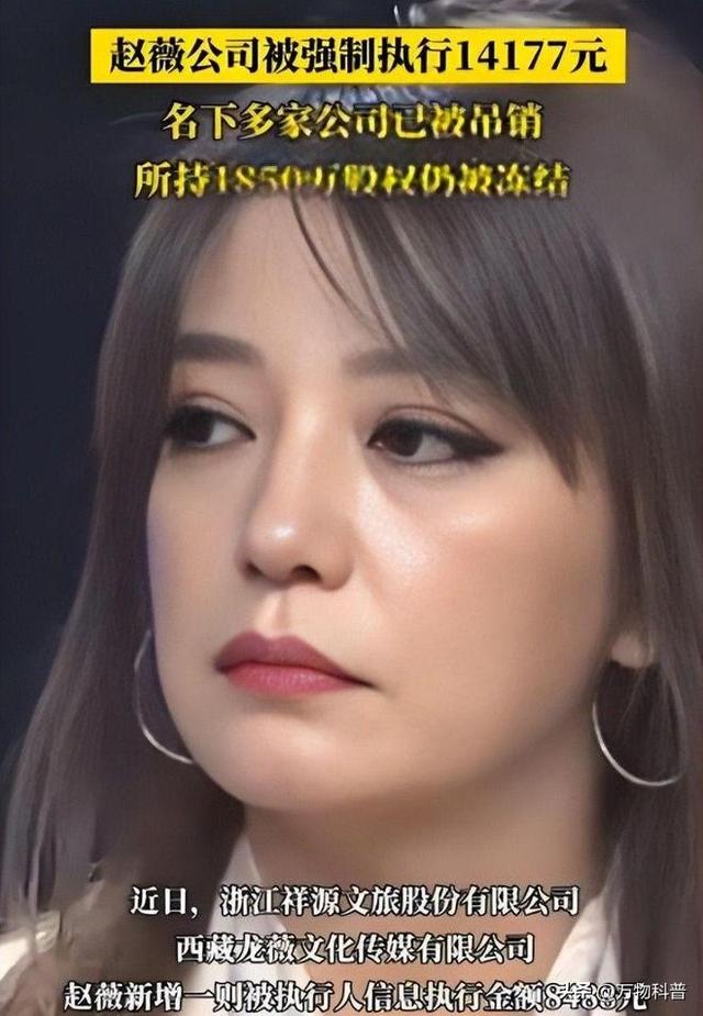 “封杀”4年后	，49岁赵薇财力现状被扒，结果估计和你想得不一样