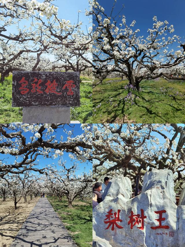 安徽·宿州｜必去五大景点