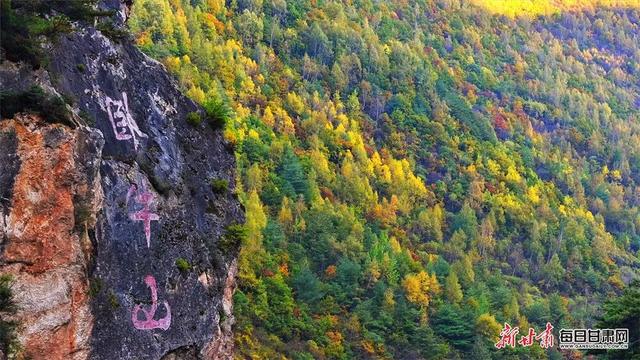 秋漫卧牛山 邂逅武山五彩时光