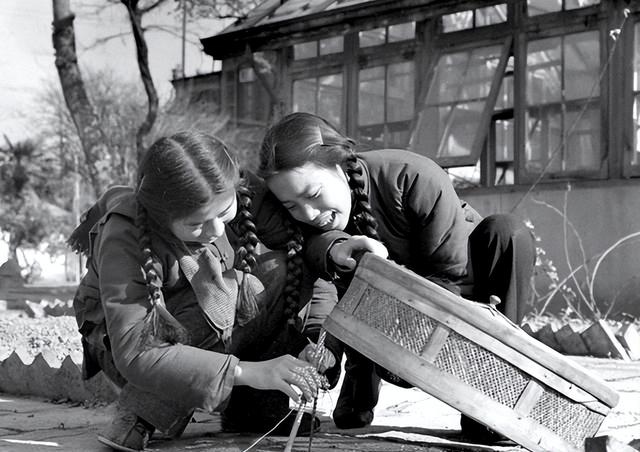 1958年全民打麻雀：工人、农民、学生齐上阵，麻雀被活活累死