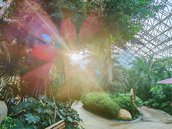降温天的终极浪漫，是泡进一池温泉里