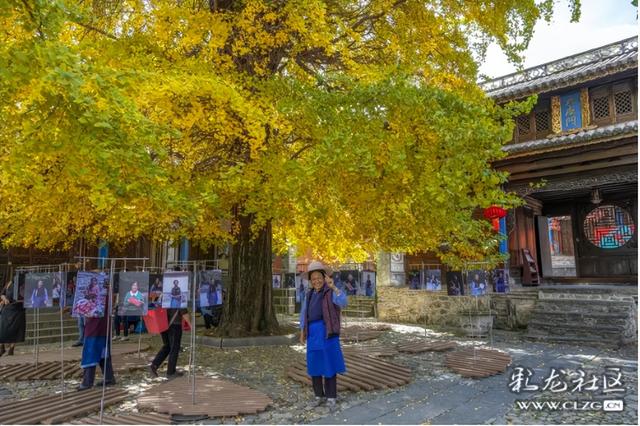 寻美云南（四）大理凤羽，诗意旅居