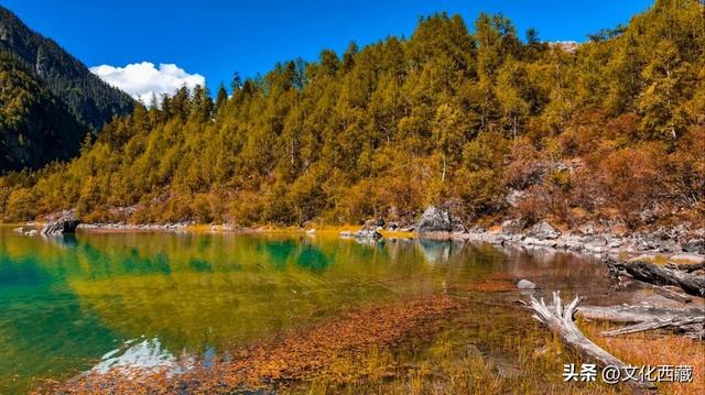 如果此生只来一次西藏林芝，我一定会去这里→