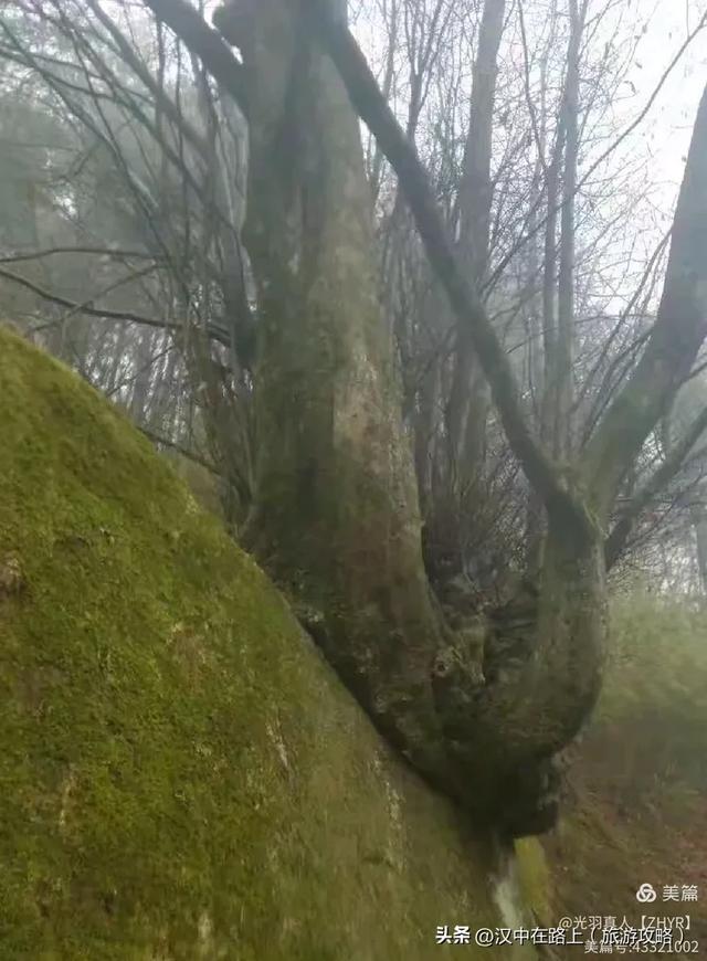 骑游陕南的三大古寺庙