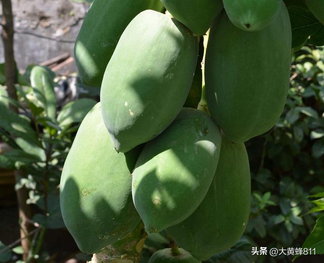 认识大美广东的每个县——第20波：陆河