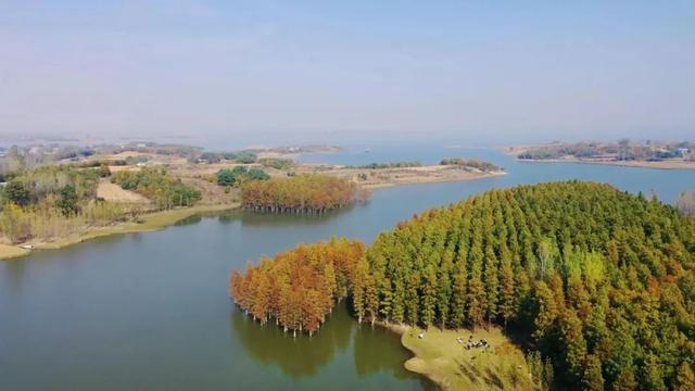 泌阳九龙瀑与池杉林：山水相依的夏日胜景