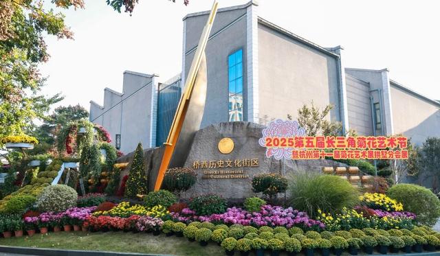 230种“秋韵”上线！拱墅这片花海藏不住了