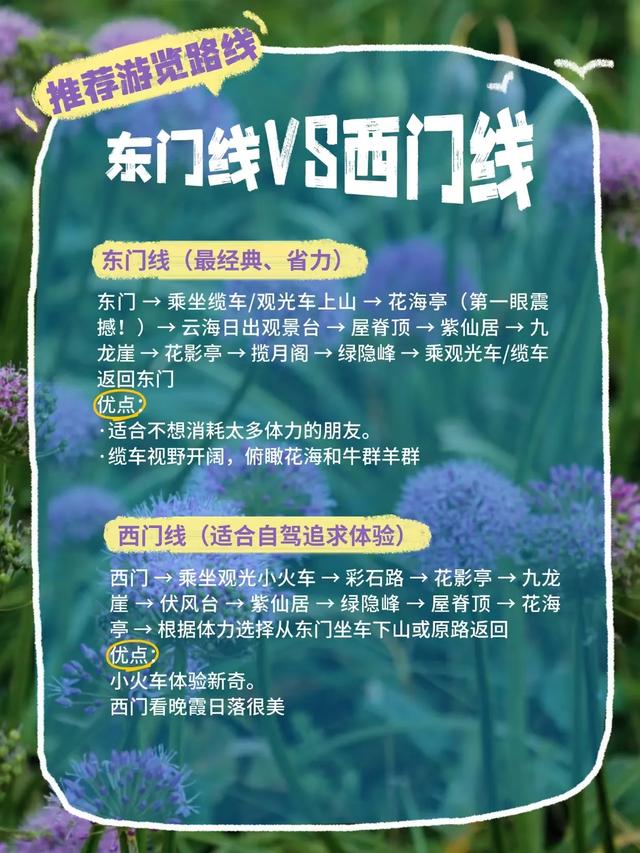 贵州韭菜坪游玩攻略 | 闯入2900米紫色云端花海