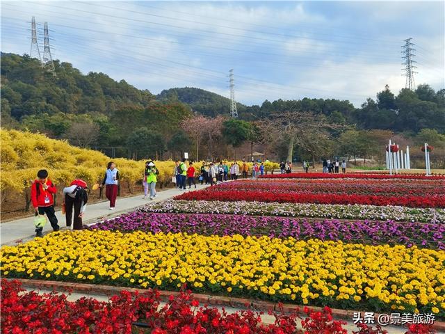 国庆假期，佛山卡玛缤纷花世界举办金秋花会，共赴风花秋月之约