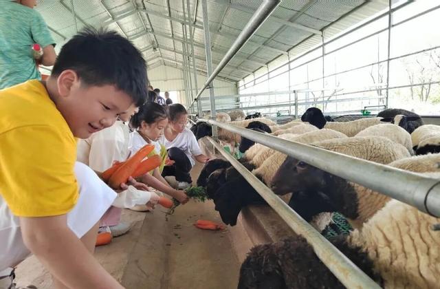 国庆自驾 “齐鲁天路”，上新活动全攻略出炉！