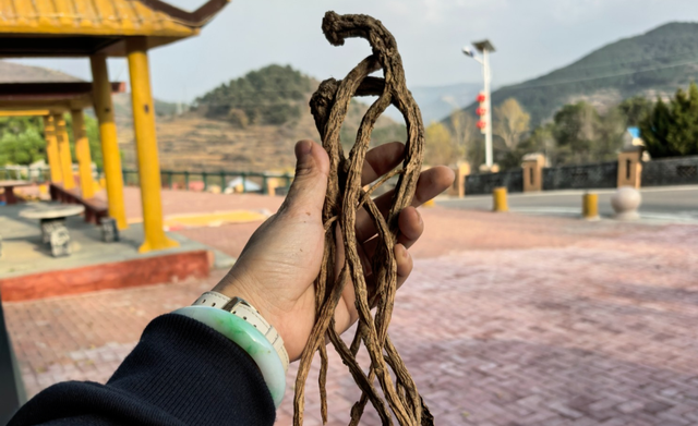 何以康养看长治