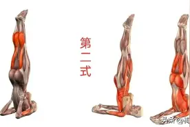 肩倒立——瑜伽体式之母，大多数疾病的万能药图片
