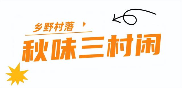 不敢相信，就这么水灵灵地开学了......