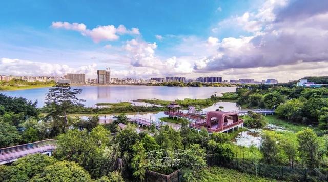 活力宝安城区指南｜山海蓝绿瞬间：山水连城，绿动宝安！