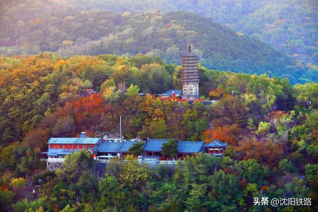 这三座新开高铁城市的打卡攻略来啦！