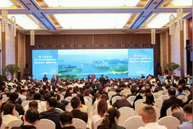 第六届楚商大会楚商产业发展论坛暨新能源高峰论坛举行，10位新能源大佬圆桌对话新能源发展图片