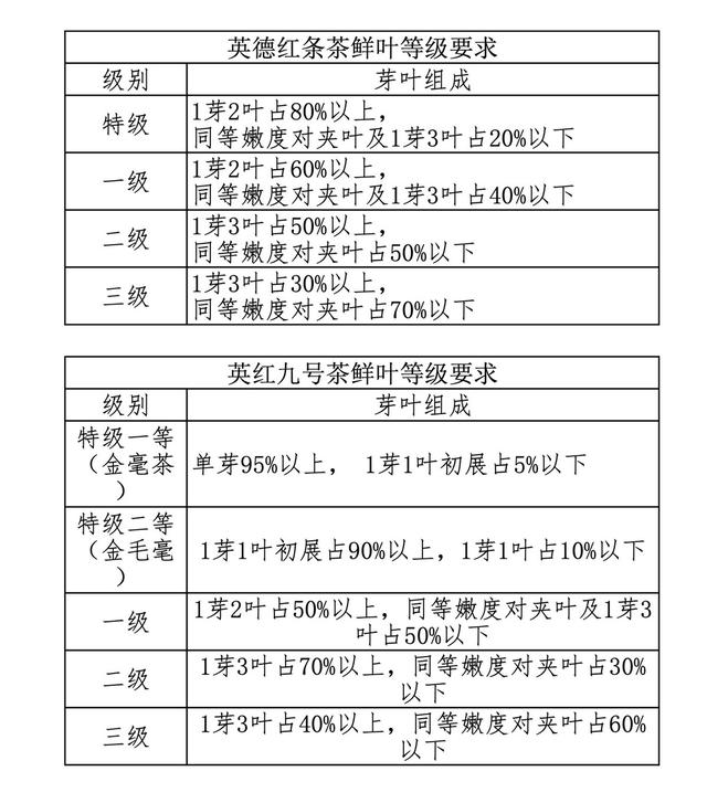 正宗的英德红茶介绍（建议收藏、避免踩坑）