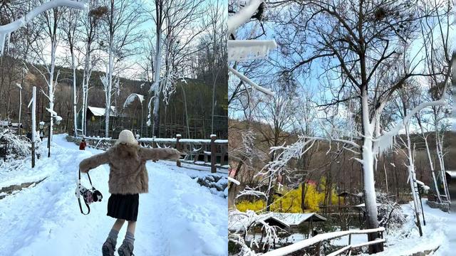 临沂竟藏了这么多“雪村”！你有去过吗？
