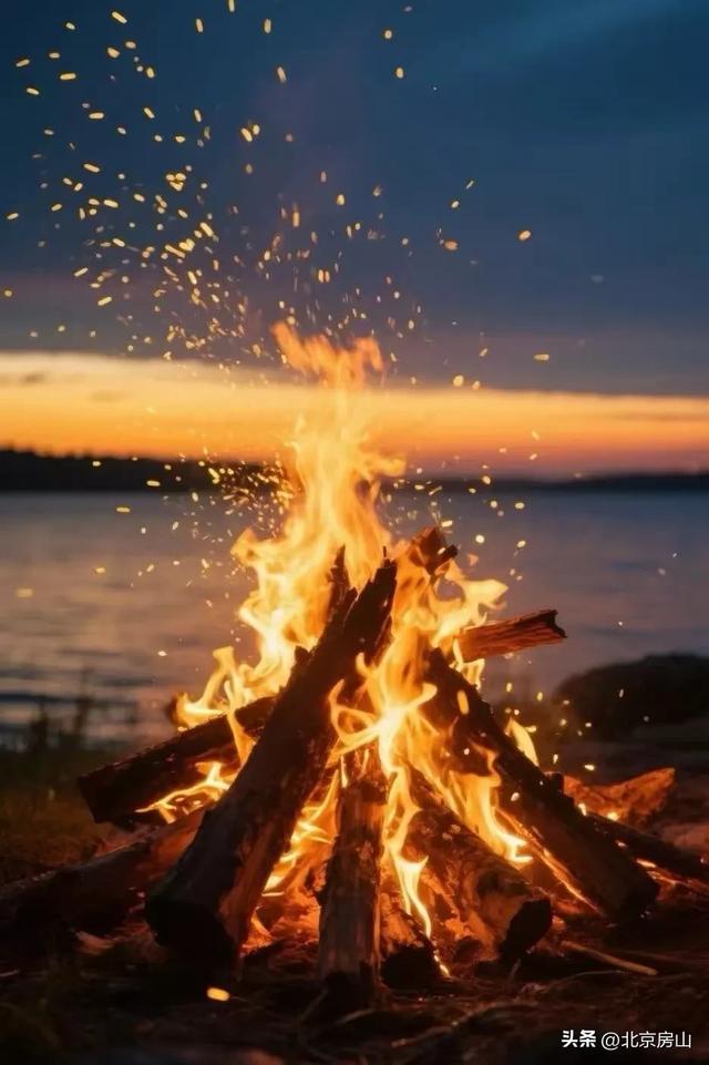 这个研学之旅邀您亲测最“野”体验