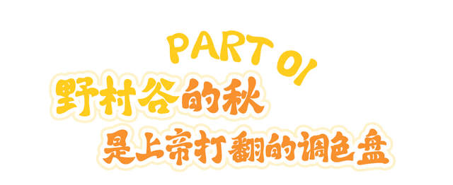 绝了！黄陂最被低估的宝藏赏秋地！