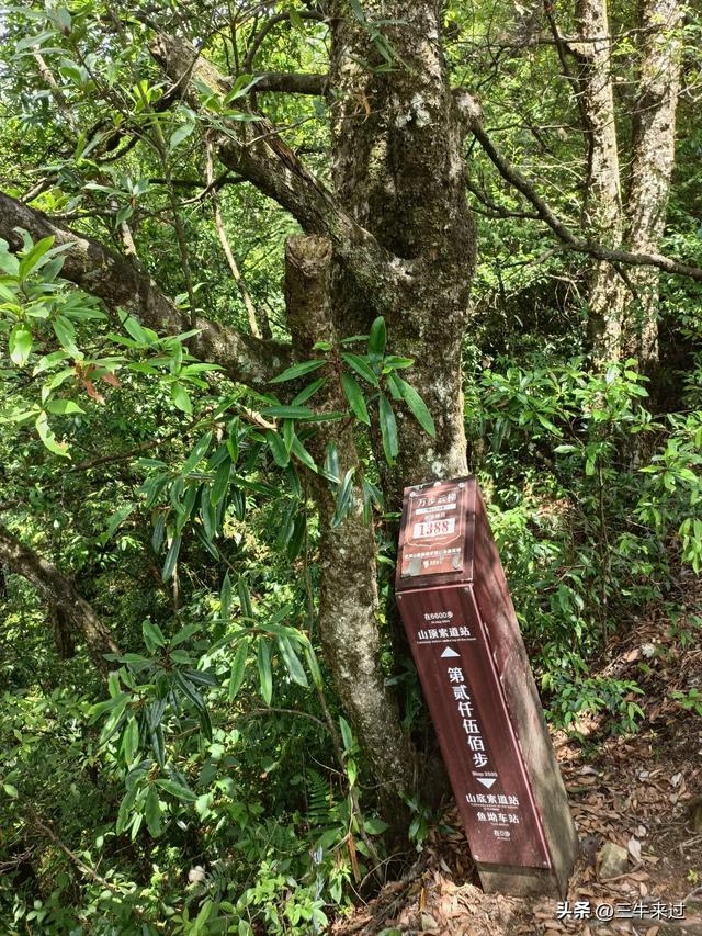 无为在歧路，贵州六日行（15）～梵净山