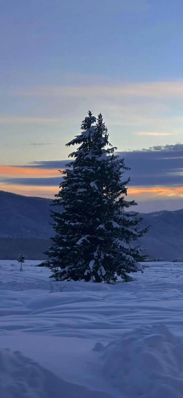 冬至快乐～盼一场大雪，而后春归