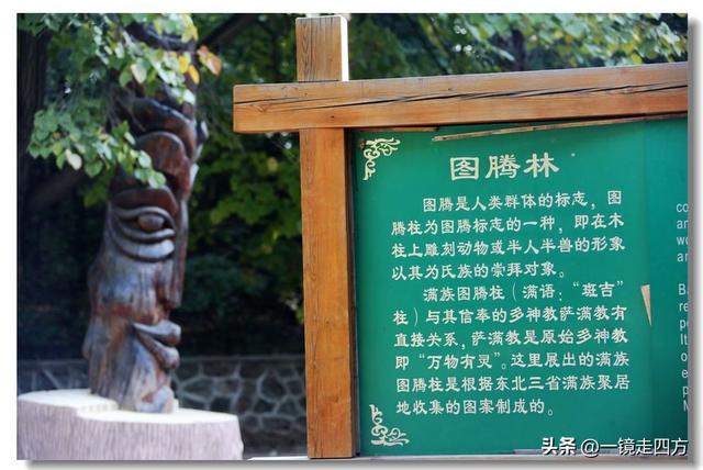 沈阳东陵郊野公园“精灵”出没