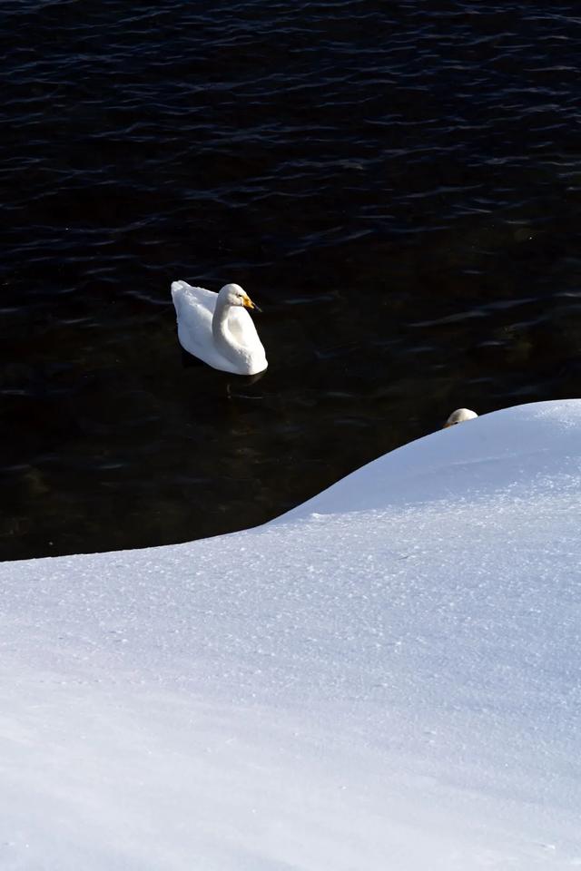 为了这道光，我做了一次疯狂的行动