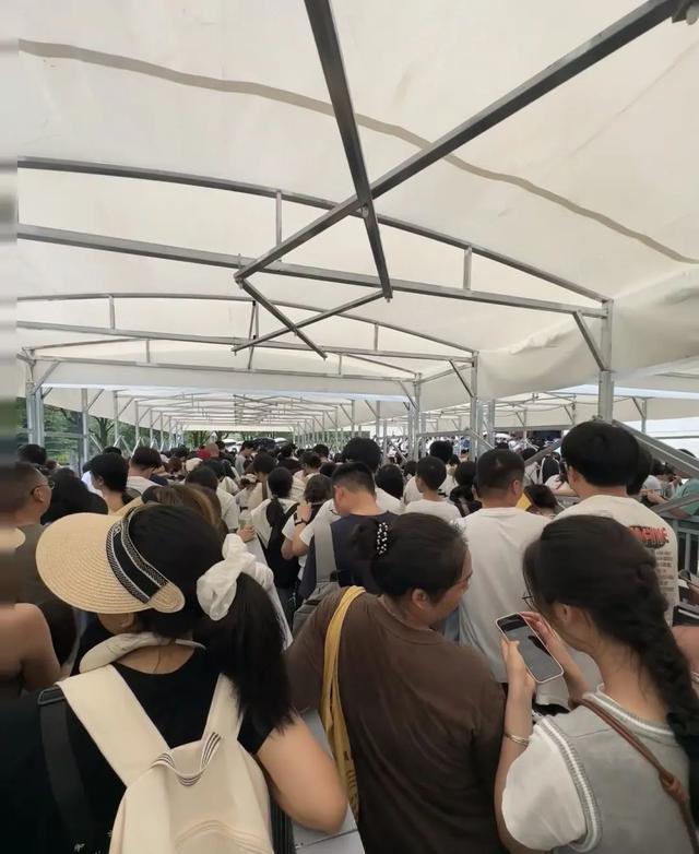 过了抢票关又遇“入馆难”，南京博物院回应
