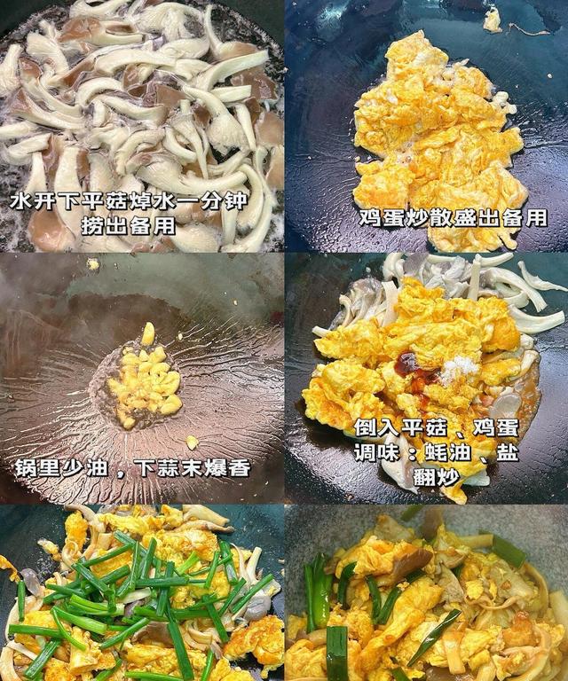 秋天的宝藏食材！五种平菇做法，让你吃到停不下来