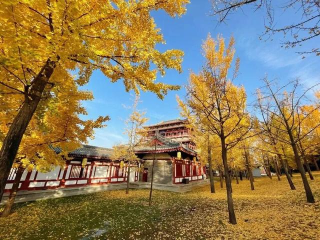 西安周末好去处——初冬8处宝藏公园免费又好玩！