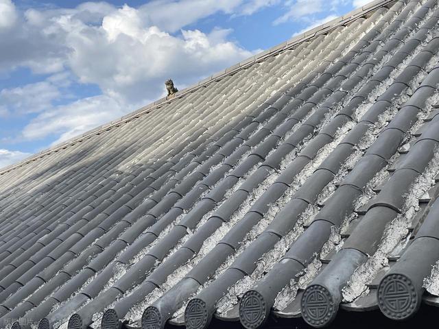 古建四合院瓦面之美