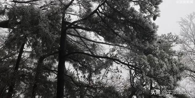 平顶山这里下雪了？附最新预报：本周还有雨